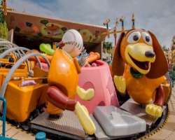 If you are planning to visit the place then you must know about the Slinky Dog Spin which is the most popular attraction in the whole park. It is enjo